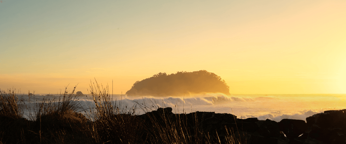Sunrise over Moturiki Island and the Bay of Plenty coast with coastal grasses — The Gold House® bullion brokerage, New Zealand