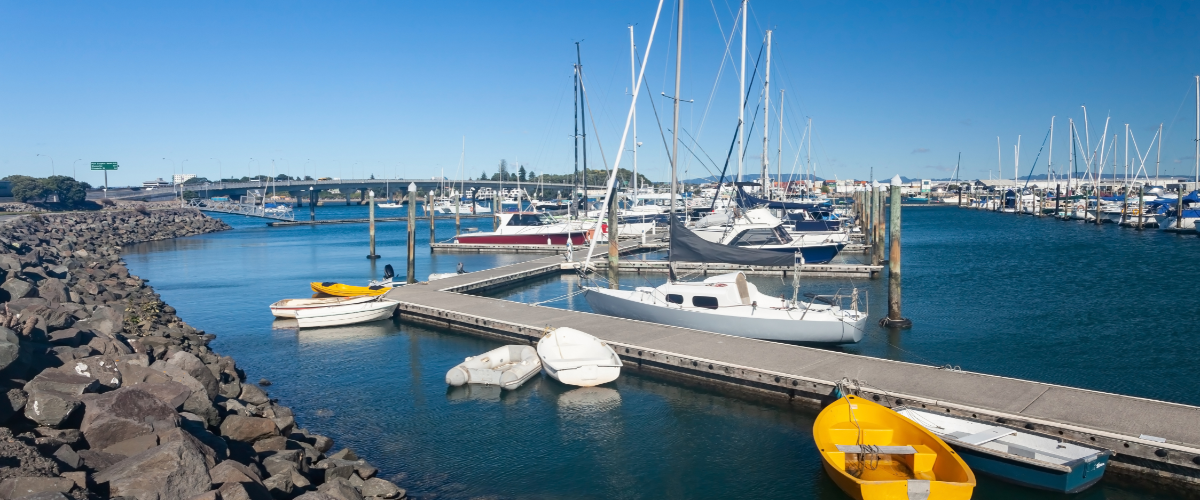 Sunny Tauranga marina with yachts, yellow dinghy, and harbour bridge beyond — The Gold House® Contact page, Bay of Plenty, New Zealand
