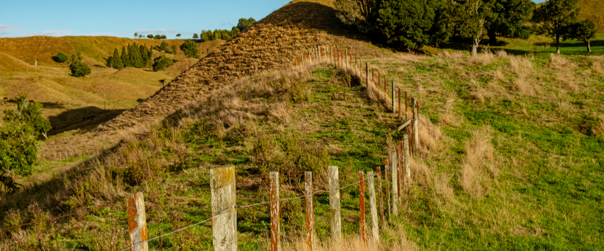 The Gold House® — Bay of Plenty farmland fence line, New Zealand Golden-hour rolling hills and weathered fence posts in the Bay of Plenty — The Gold House® FAQ, New Zealand