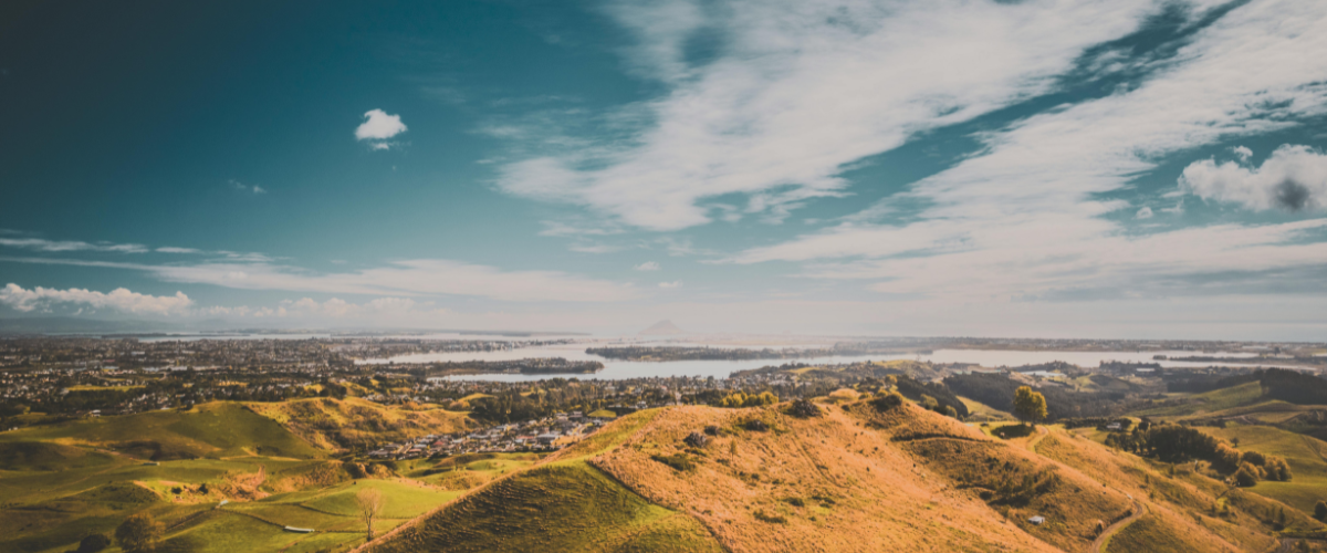 Elevated golden-hour view over Tauranga harbour, city, and Mount Maunganui on the horizon — The Gold House® market charts and pricing, New Zealand