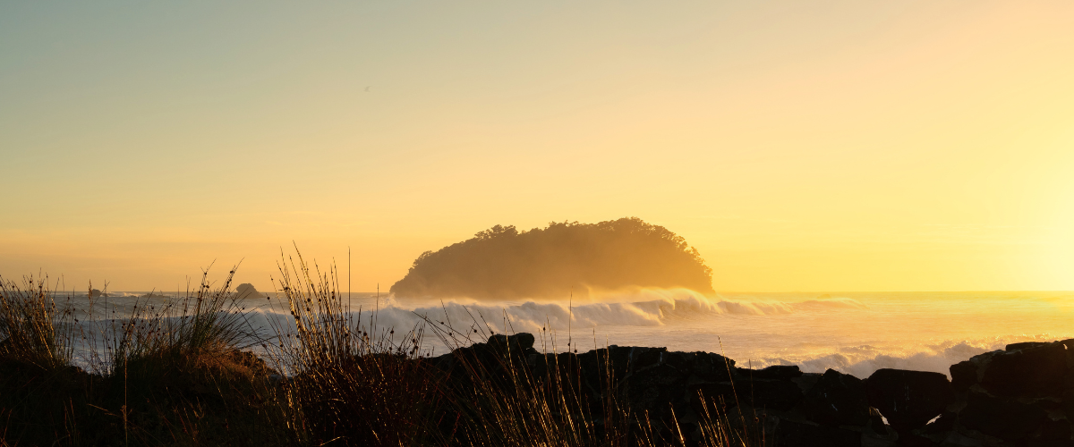Sunrise over Moturiki Island and the Bay of Plenty coast with coastal grasses — The Gold House® bullion brokerage, New Zealand